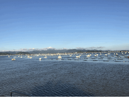 藍(lán)色牧場(chǎng)財(cái)富多——生態(tài)中國沿海行之福建霞浦海水養(yǎng)殖技術(shù)創(chuàng)新