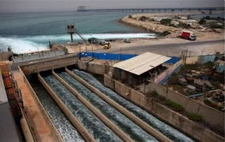 從“陸稻”到“海稻” 中國科學家以創新養殖技術布局全球海洋